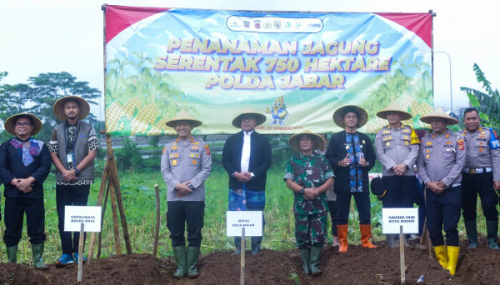 Sinergi Kawal Ketahanan Pangan, Pemkot Bogor Laksanakan Penanaman Jagung Serentak