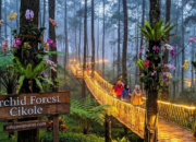 Orchid Forest Cikole: Menyelami Keajaiban Hutan Pinus dan Surga Anggrek Terbesar di Indonesia