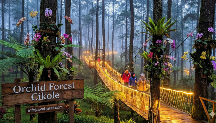 Orchid Forest Cikole: Menyelami Keajaiban Hutan Pinus dan Surga Anggrek Terbesar di Indonesia