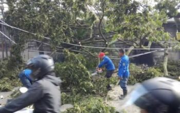 Puting Beliung Terjang Cimahi, Pohon Tumbang Timpa Bangunan dan Kendaraan