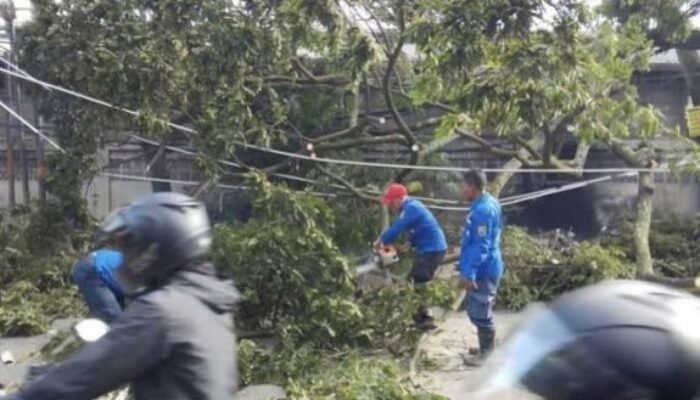Puting Beliung Terjang Cimahi, Pohon Tumbang Timpa Bangunan dan Kendaraan