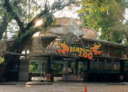 BKAD Kota Bandung Tegaskan Kebun Binatang Bandung Masih Tutup Per Maret 2026