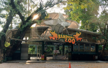 BKAD Kota Bandung Tegaskan Kebun Binatang Bandung Masih Tutup Per Maret 2026